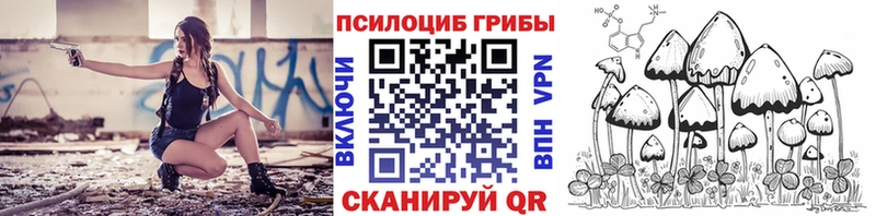 Псилоцибиновые грибы Psilocybe  Тетюши 